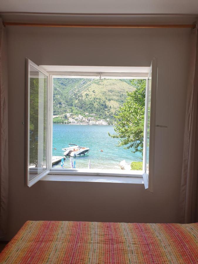 Savic Apartments Kotor Kültér fotó