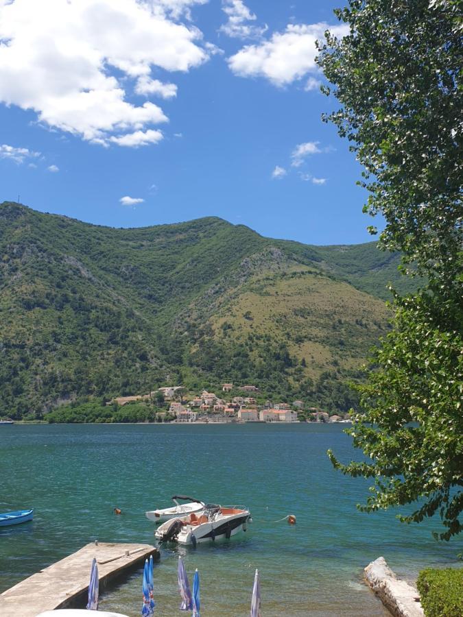 Savic Apartments Kotor Kültér fotó