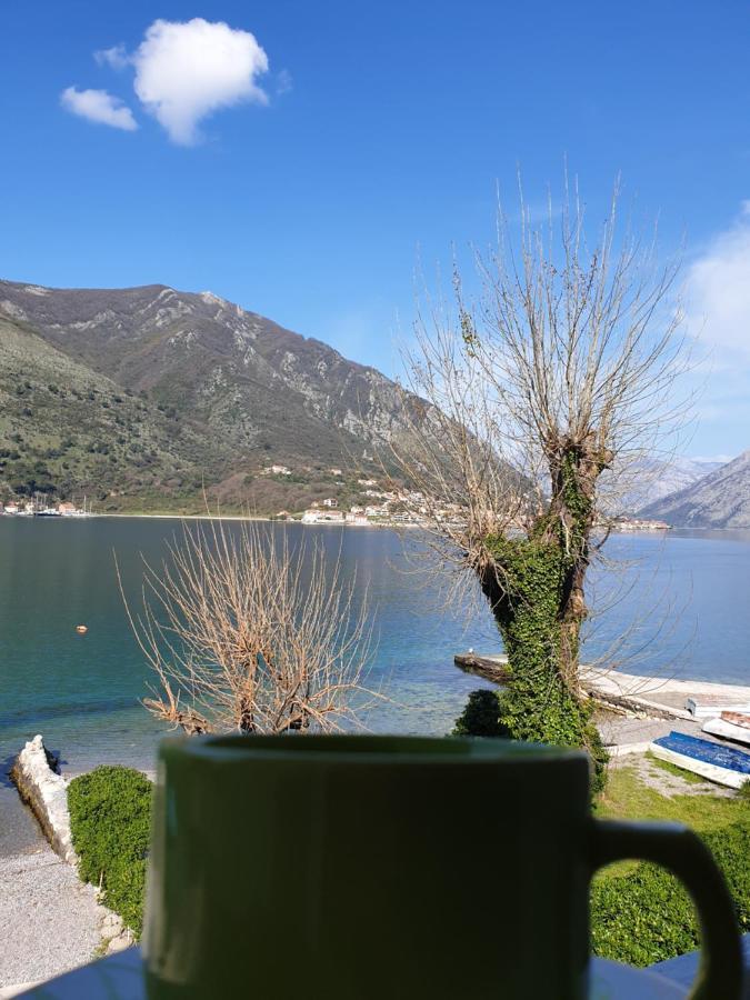 Savic Apartments Kotor Kültér fotó