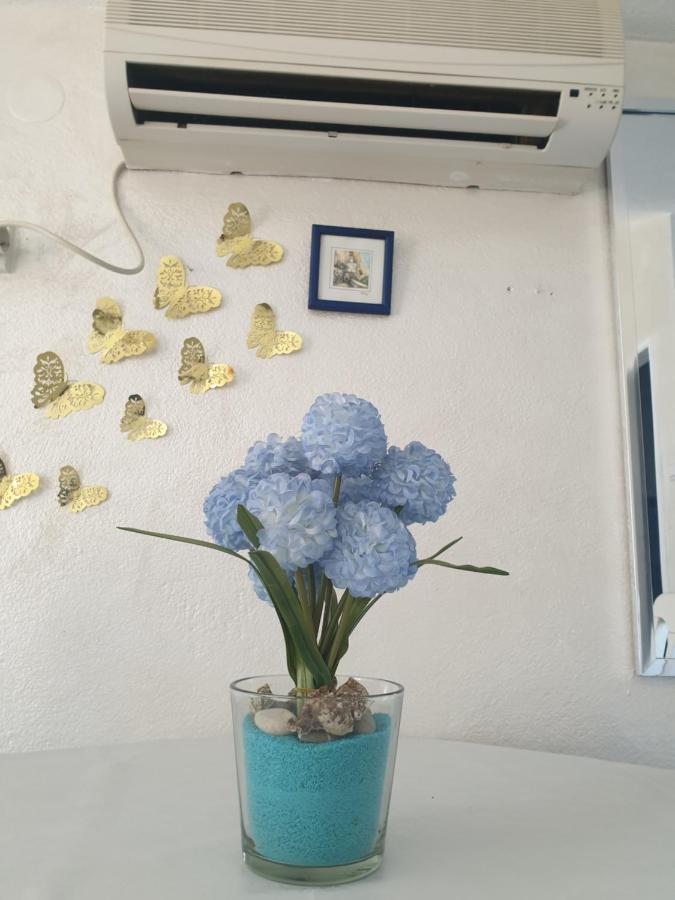 Savic Apartments Kotor Kültér fotó