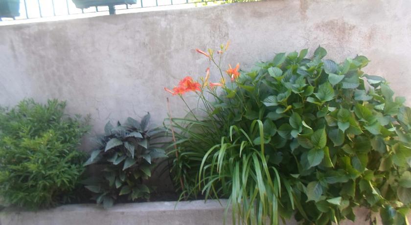 Savic Apartments Kotor Szoba fotó